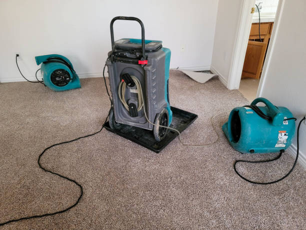 Best Water damage restoration specialists  in Summerset, SD