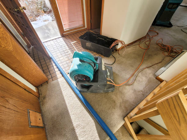 Best Flood restoration services  in Summerset, SD