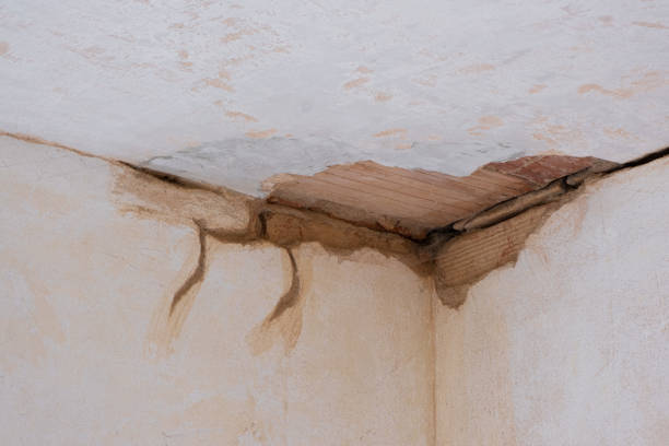 Best Mold removal after water damage  in Summerset, SD