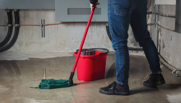 Best Water damage restoration near me  in Summerset, SD