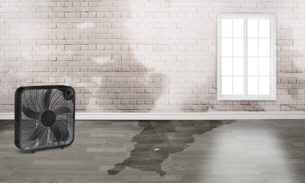 Best Flood restoration services  in Summerset, SD
