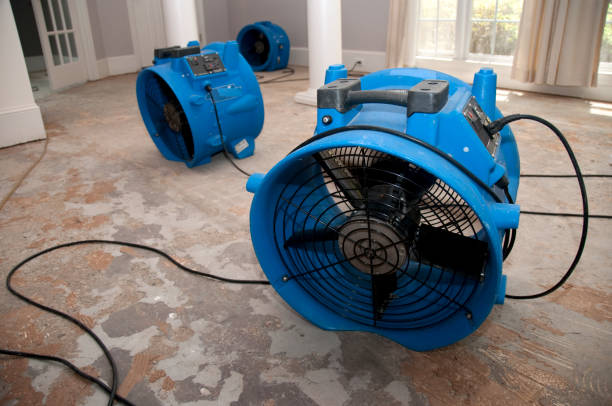 Best Fire Damage Restoration  in Summerset, SD