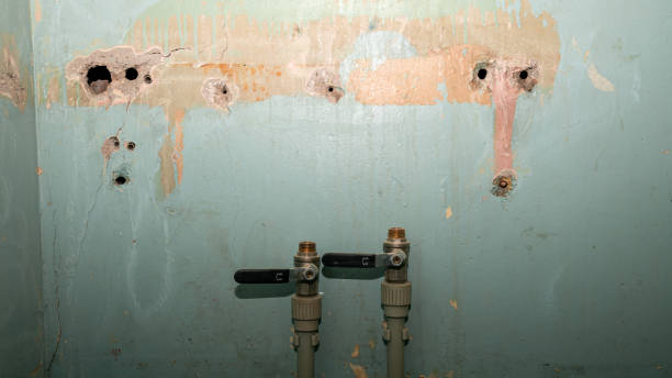 Water damage restoration insurance claims in SD