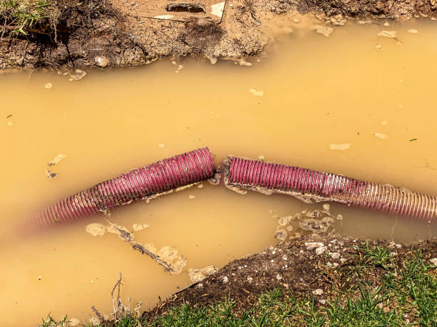Best 24-hour water damage restoration  in Summerset, SD