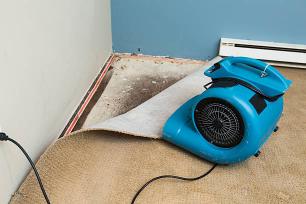 Best Water damage restoration process  in Summerset, SD